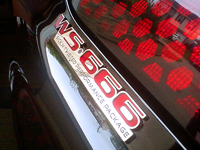 ws666 emblem